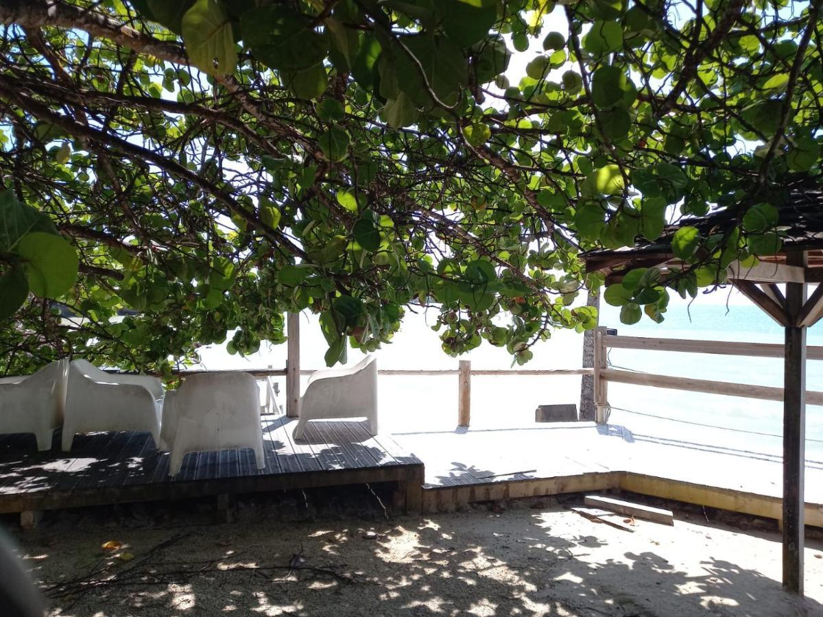 Grand Studio De 41 M², Vue Mer Et Jardin Tropical. Ле-Гозье Экстерьер фото